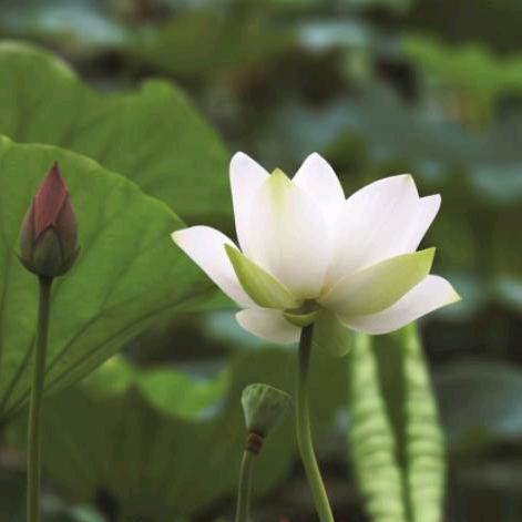 এ᭄ꦿ思绮💞ོ࿐桂এ᭄陕ꦿ💞