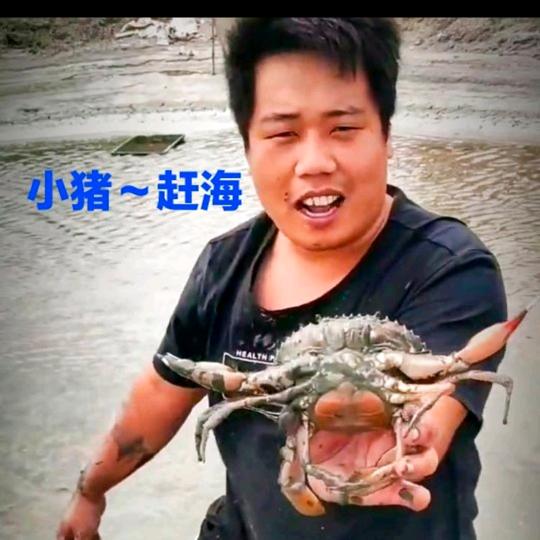 小猪、