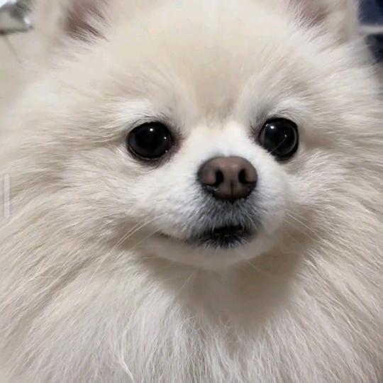 程程