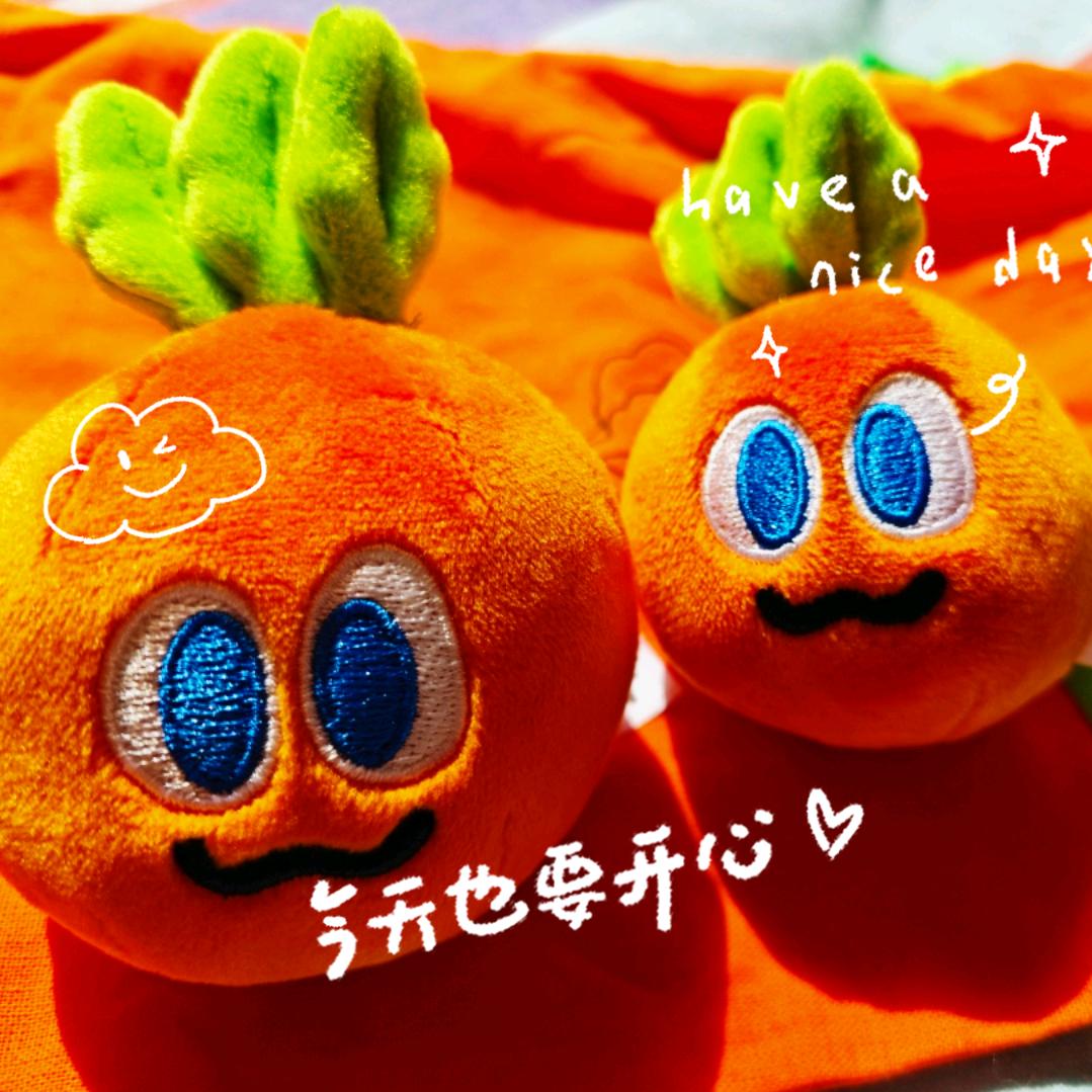 习惯🥕⁵