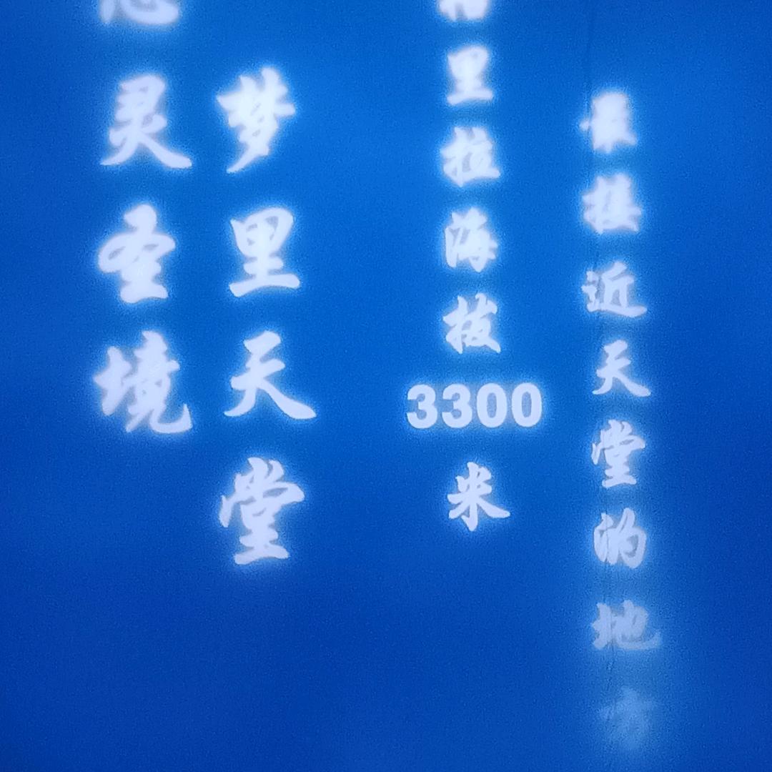 鑫哥