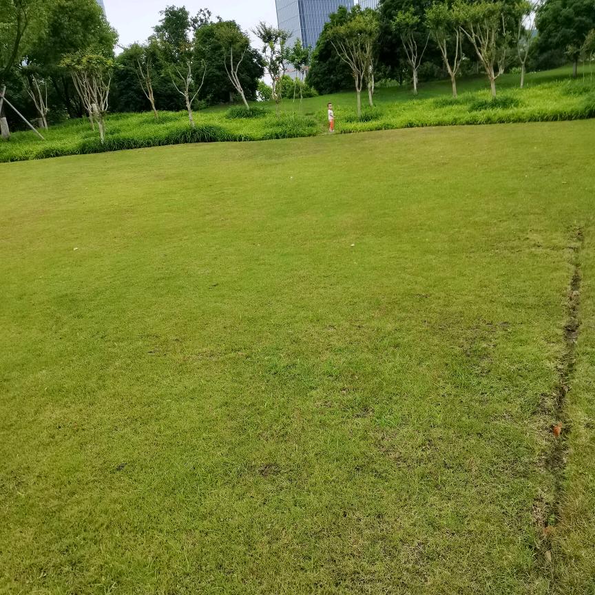 跳跳涵