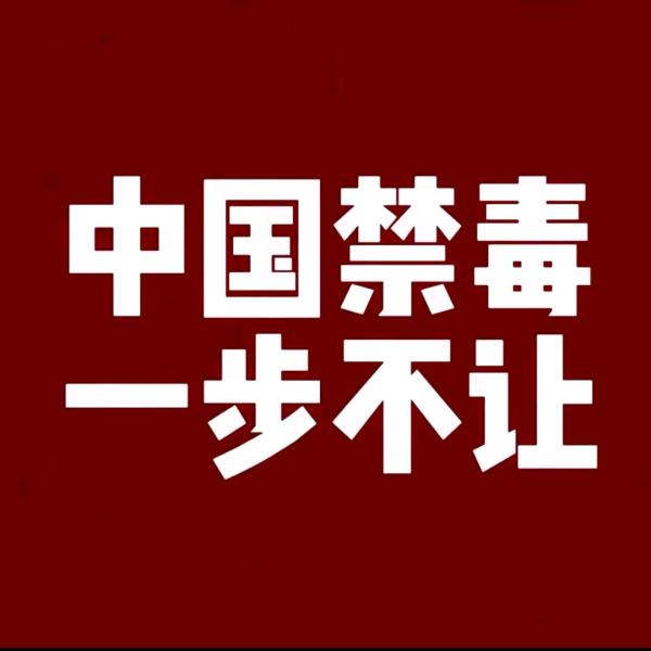 伏兔兔＜梦想成为宝可梦大师＞