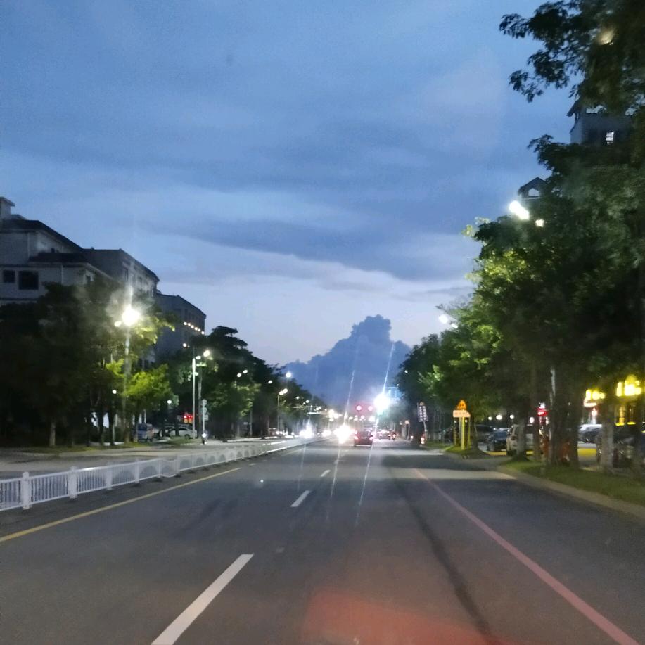东方树叶