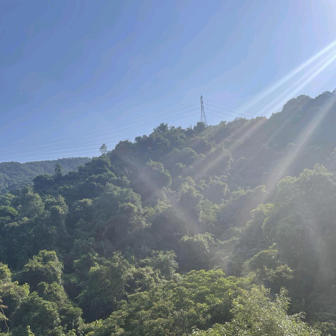 许昌超市（小跑腿）