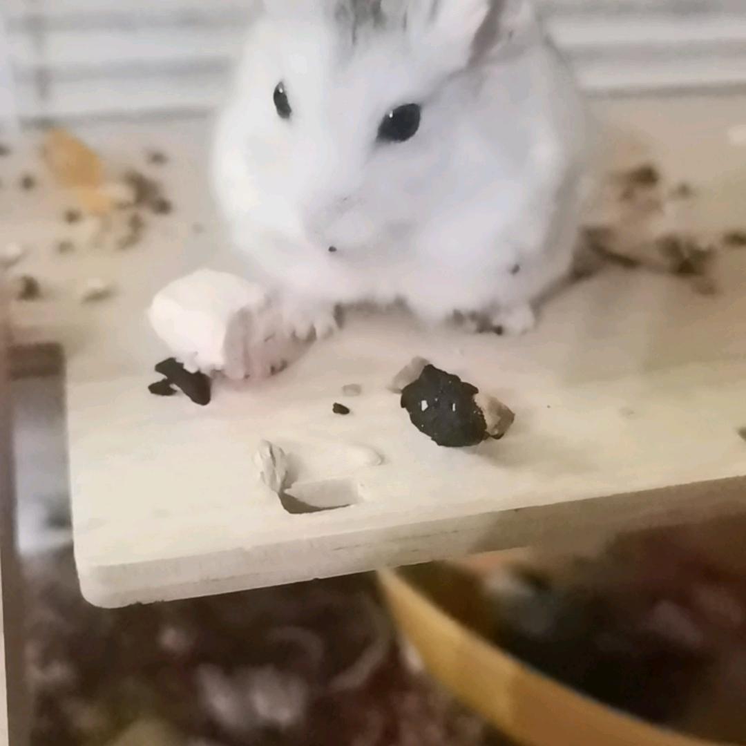 开开心心