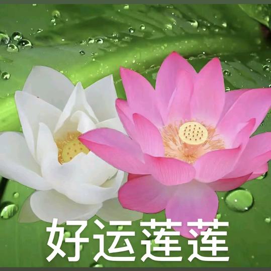 蒋进翠