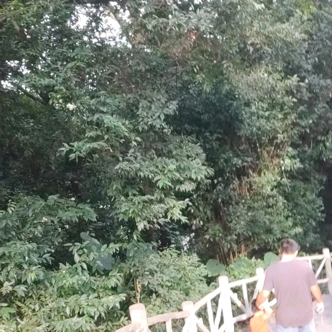 幸福花开301陈