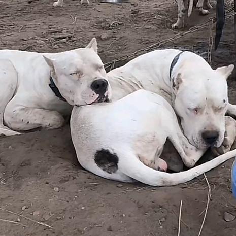 我一米八的饼哥超帅哒