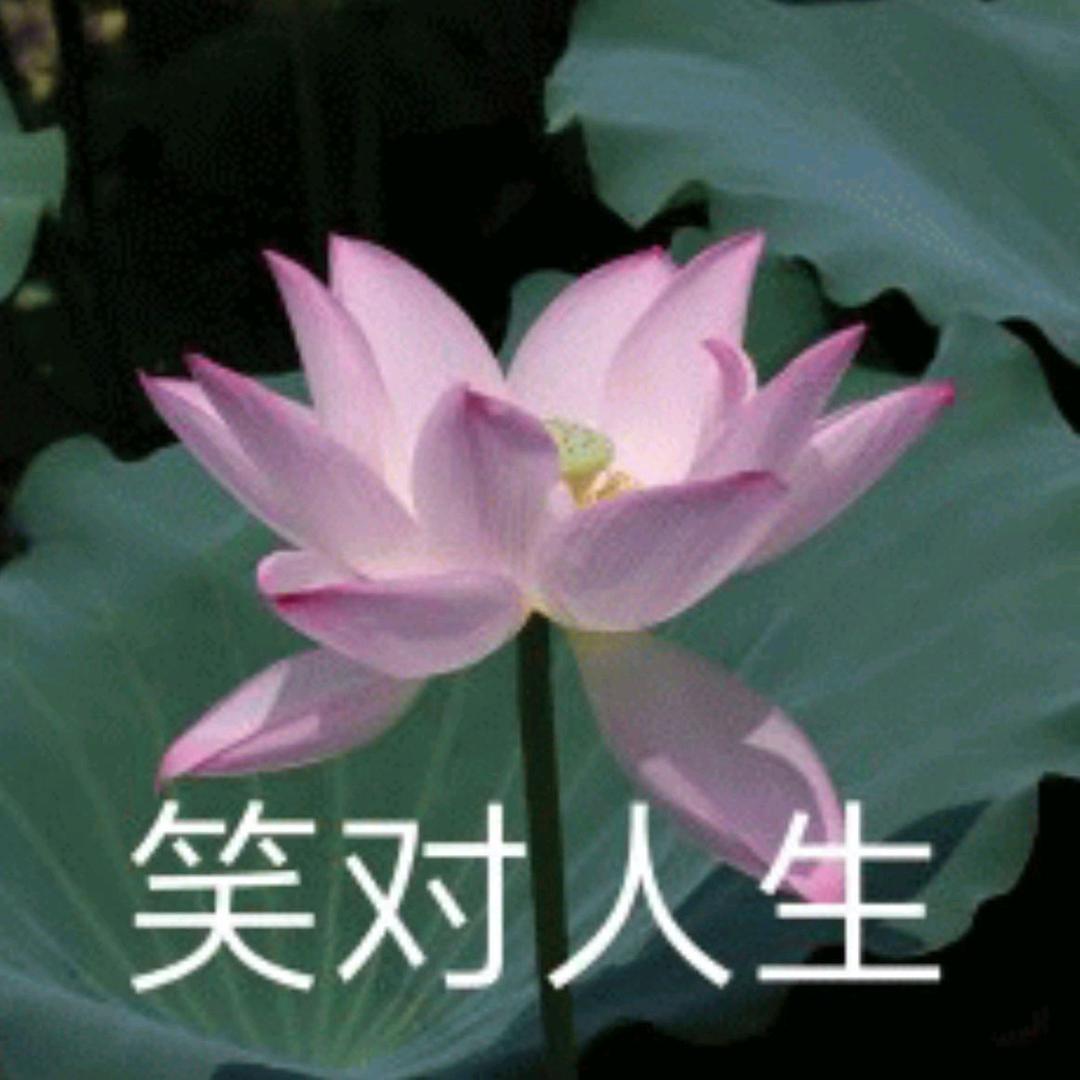 小毛驴呢