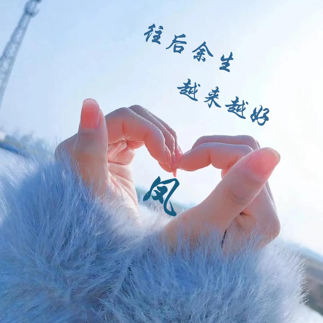 凤凤~橱窗营业中
