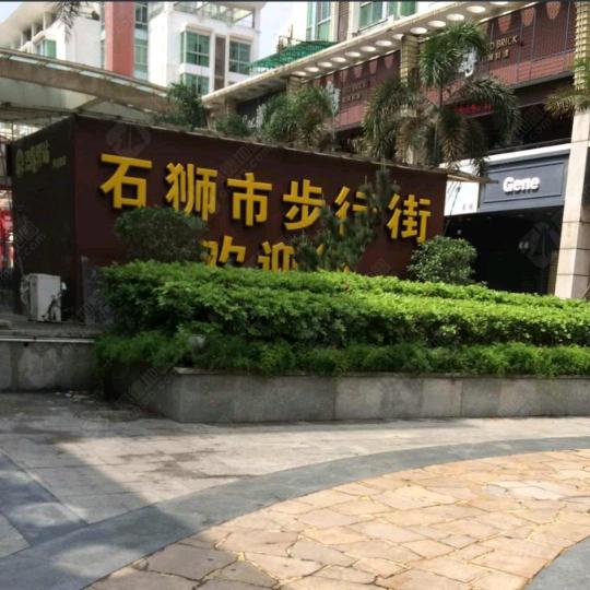 《✨️满天星🌙》