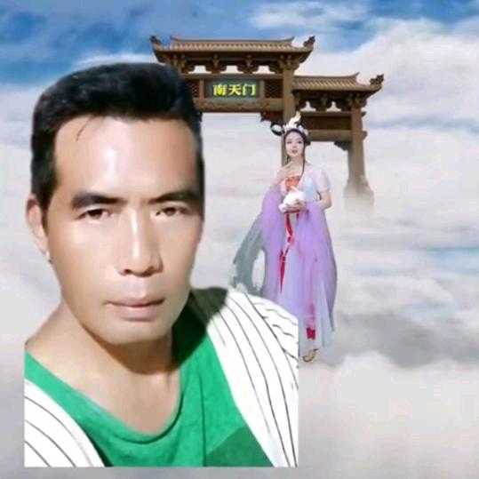 花木韵