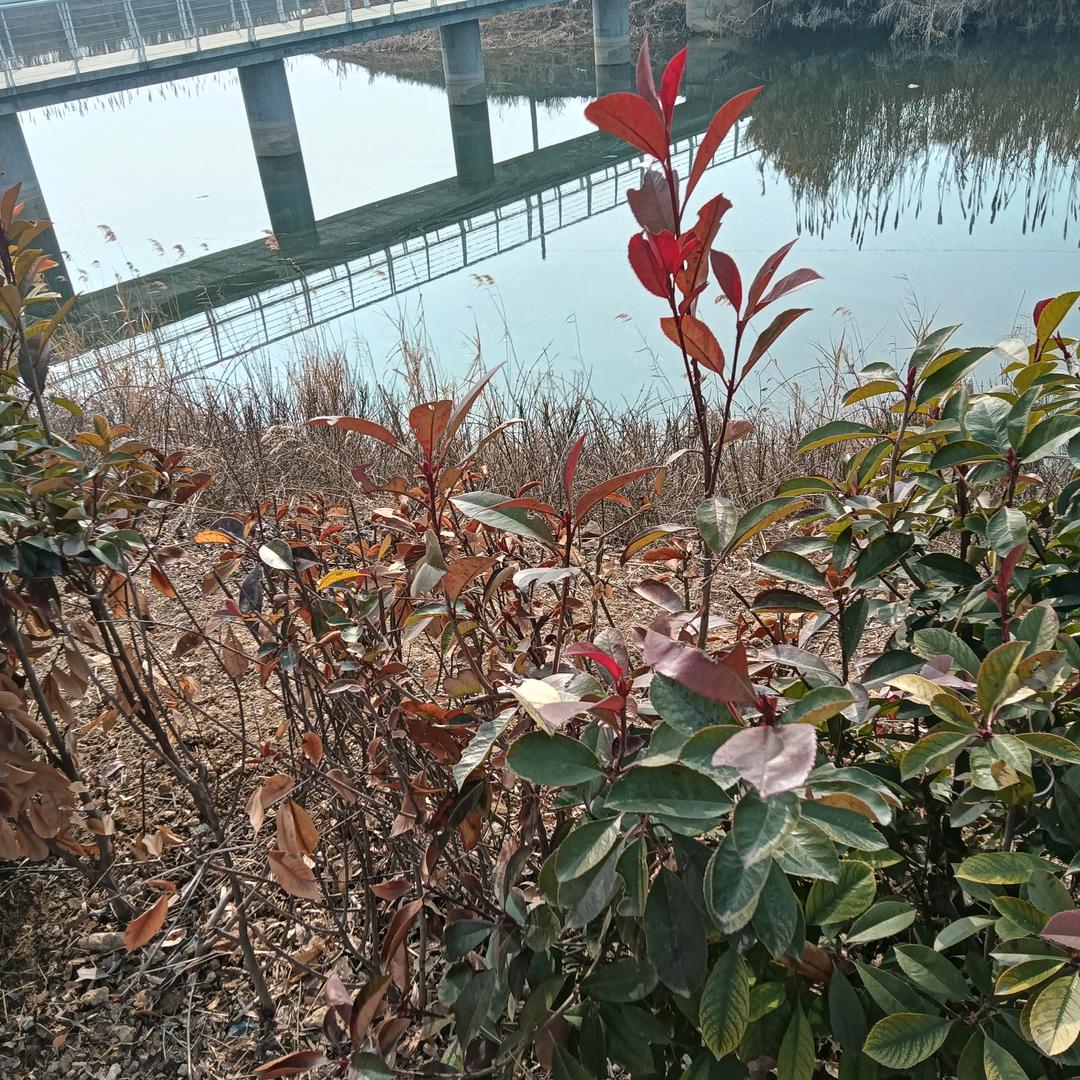 ʚ♡⃛ɞ(ू•ᴗ•ू❁)