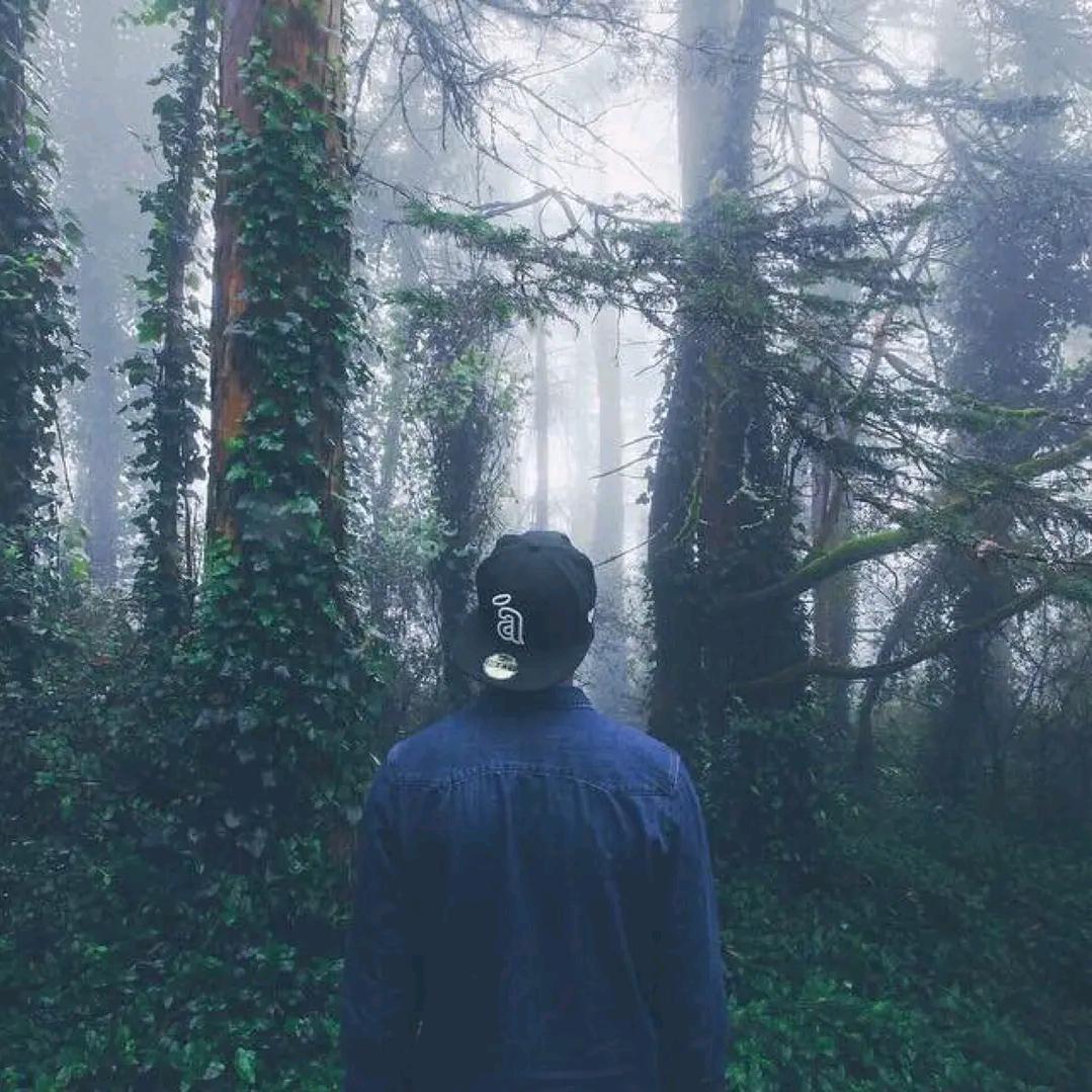 🍂