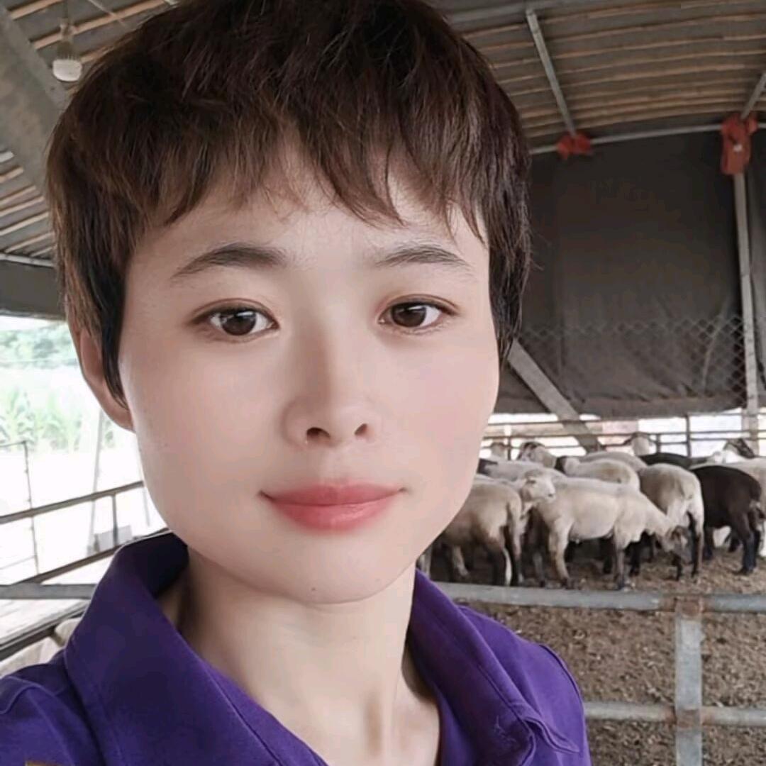 乡村养殖小燕