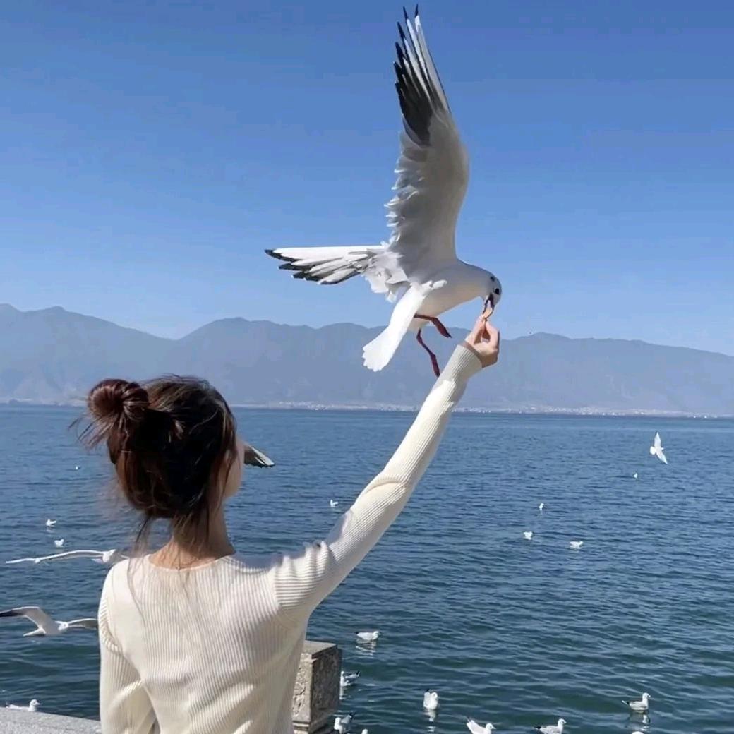 @@ 淡忘 %（拒私聊）