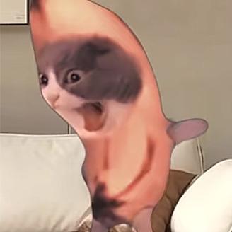等一下头像