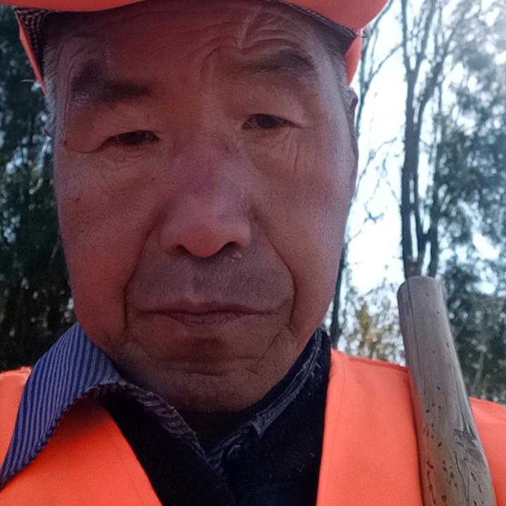 林庄