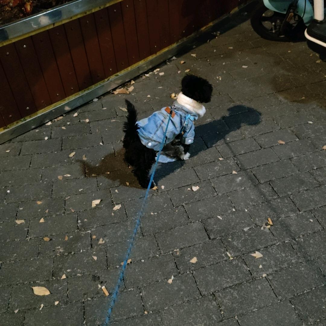 身体健康，万事如意