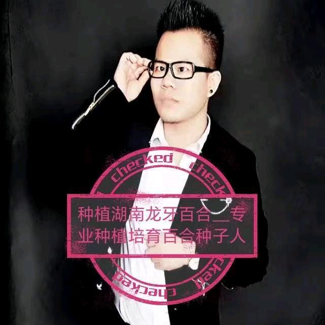 龙牙百合培育种植高产百合种子人一易先生