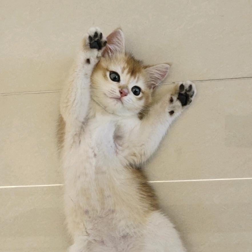 润润😺和生生😽
