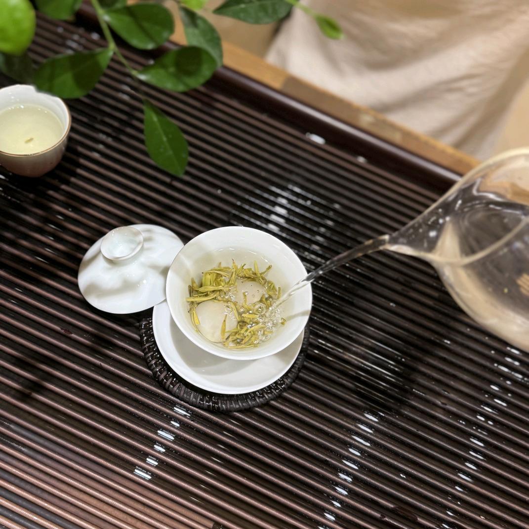 林婉白🫧