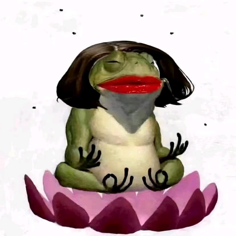 小鱼nh