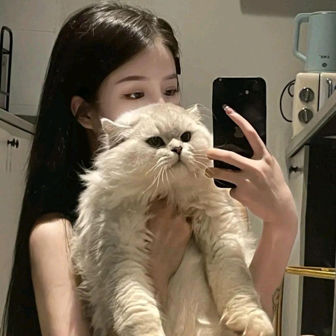 燕子《好物分享》