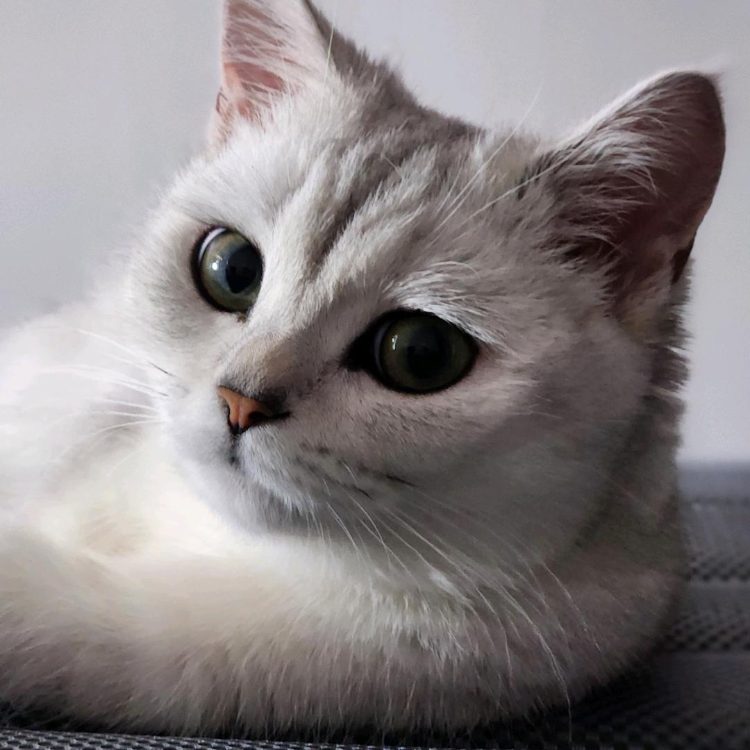 今天你刮刮乐了嘛