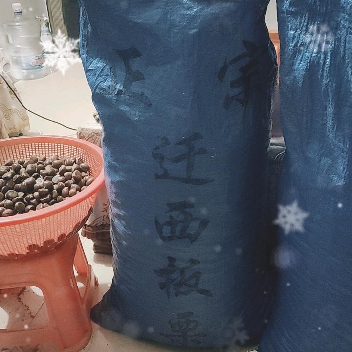 板栗哥♀华仔