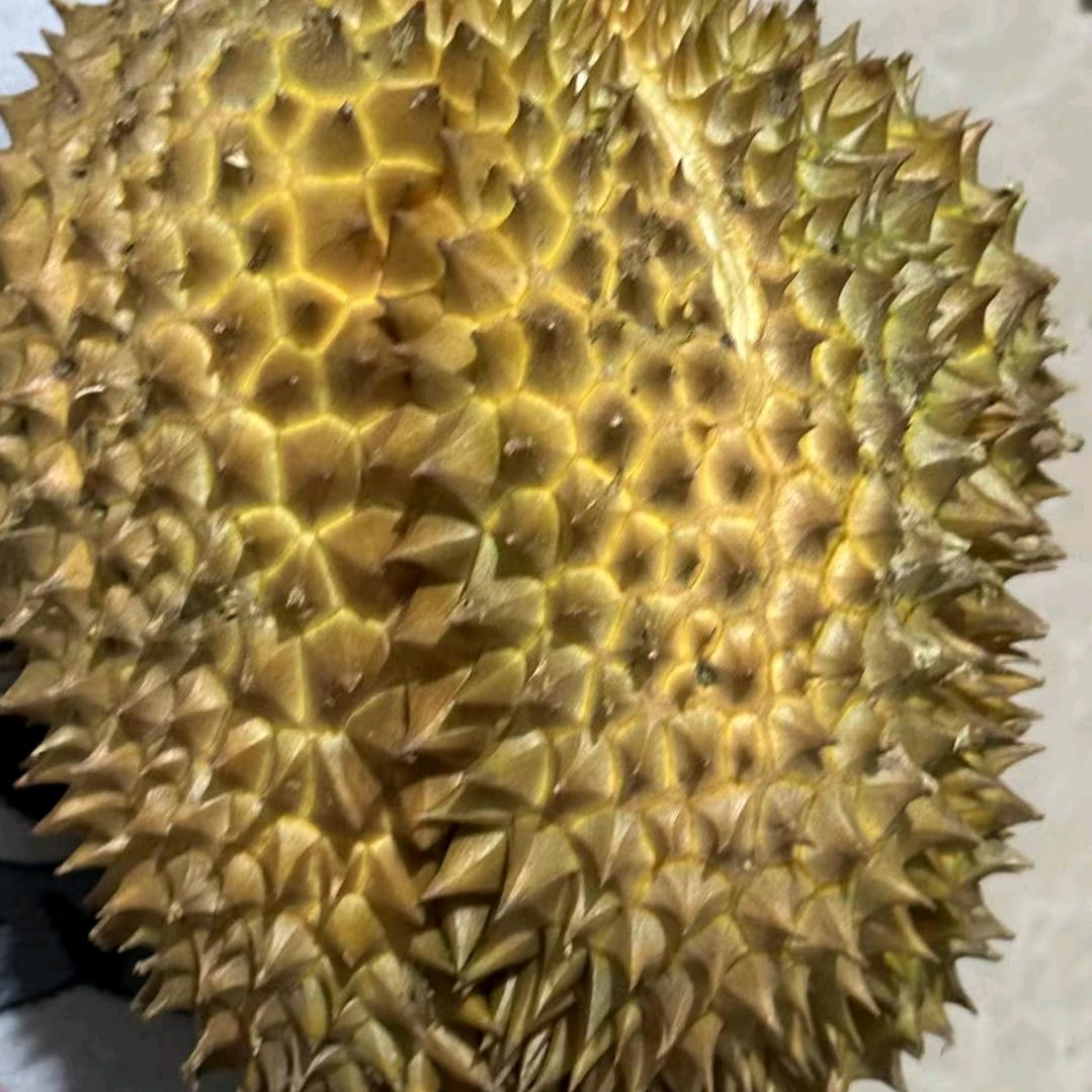 看抖音谁都像抹布女