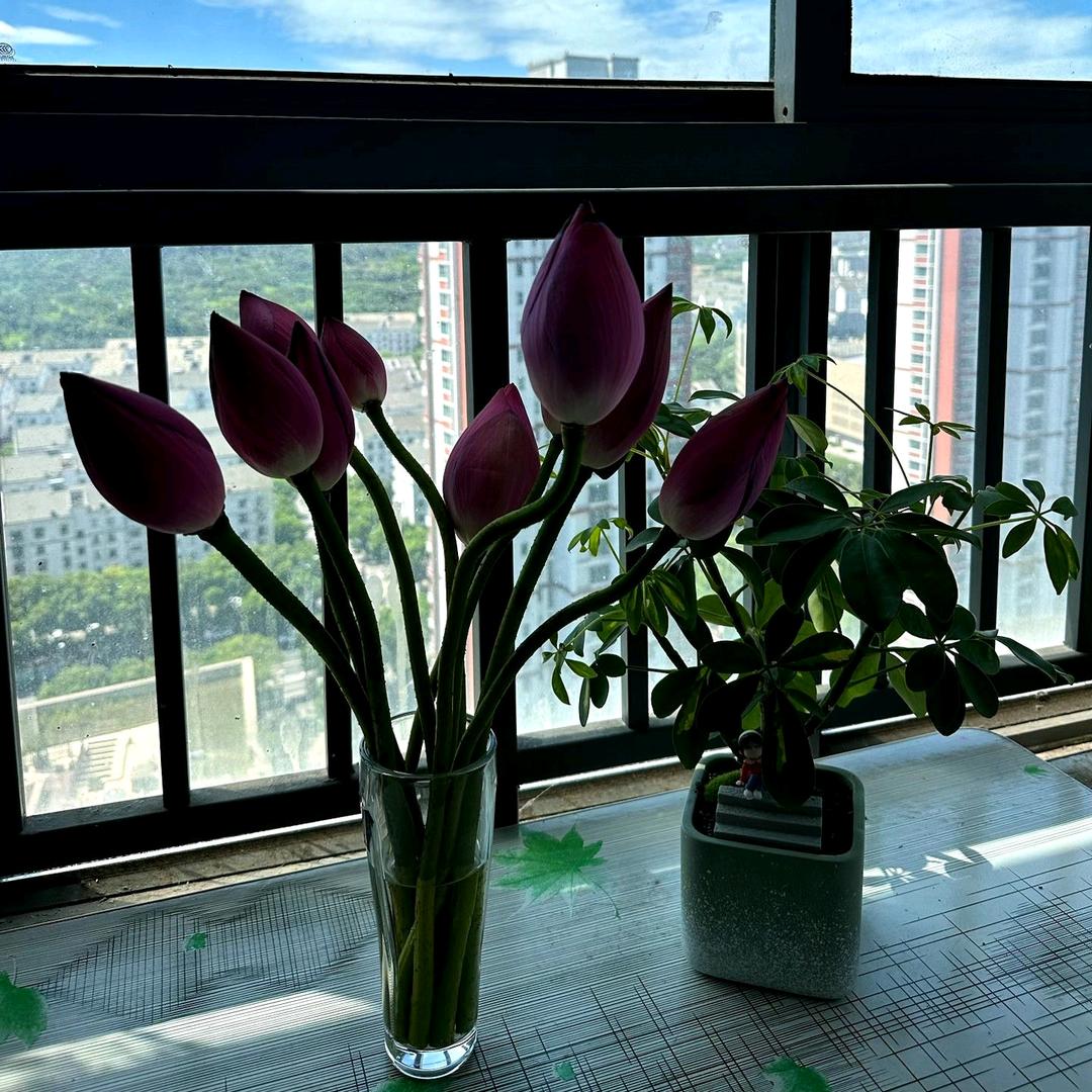 妗笙劳资說了筭