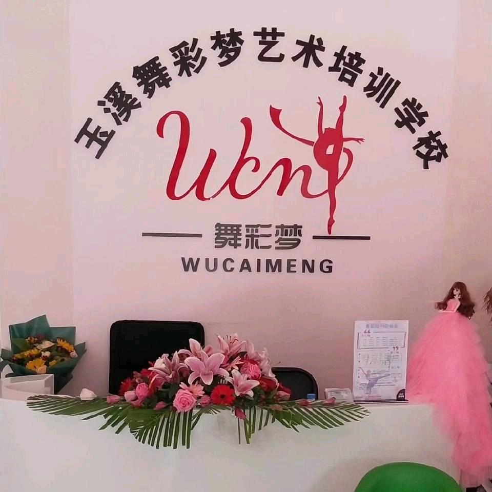 舞彩梦艺术培训学校
