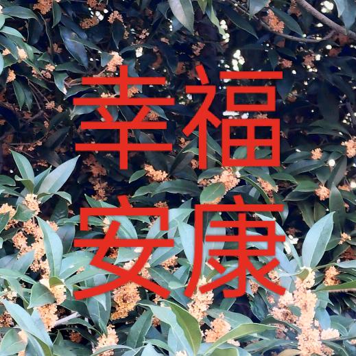 一场相遇   一生回忆