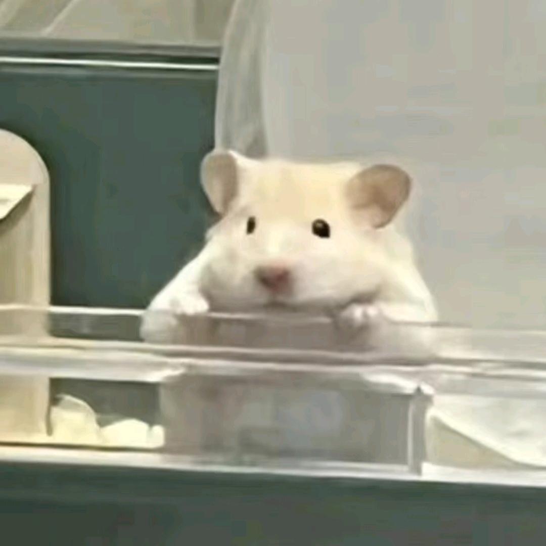 小熊来啦℃