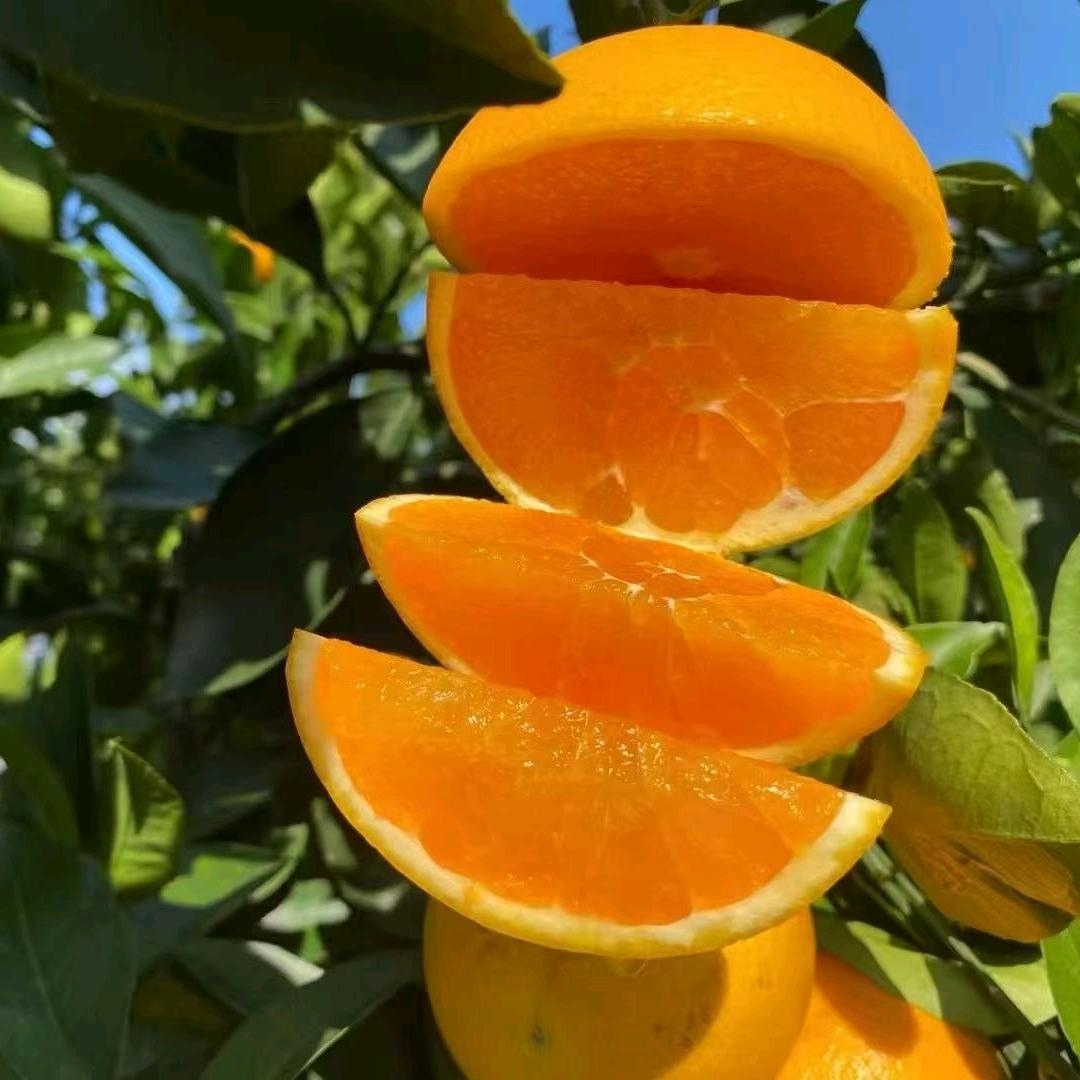 🍊🍊🍓兰兰🚗☘️