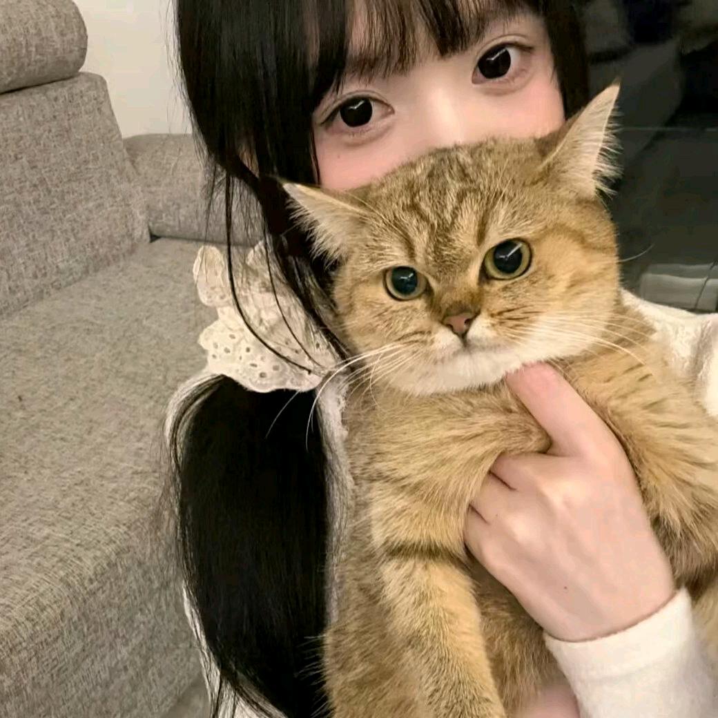 00慧.