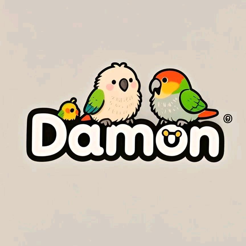 莆田Damon鹦鹉🦜