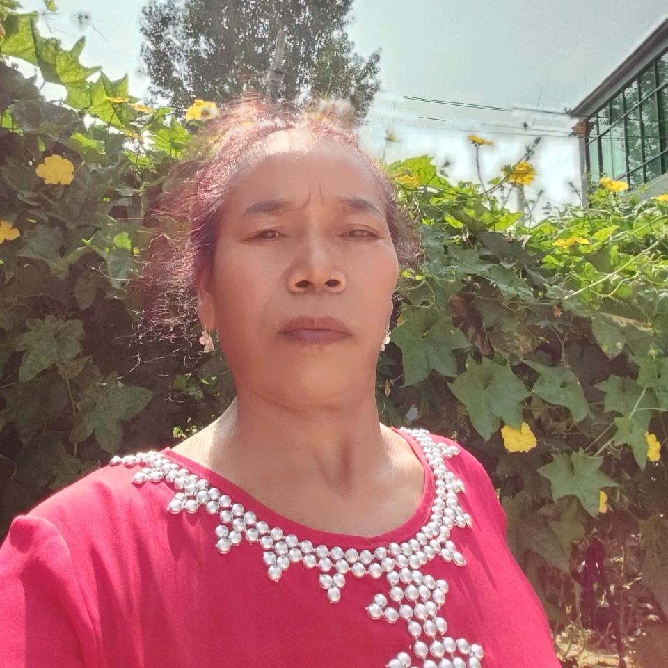 （叶大妈中午11点50首播）