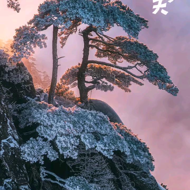 没喝了够