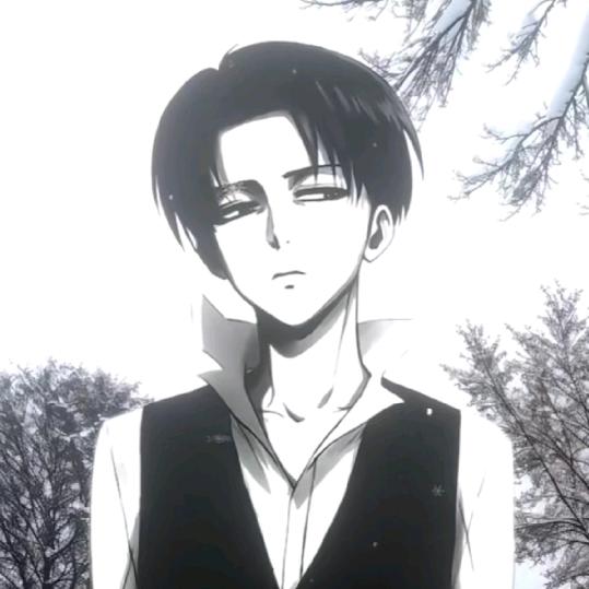 楚会长