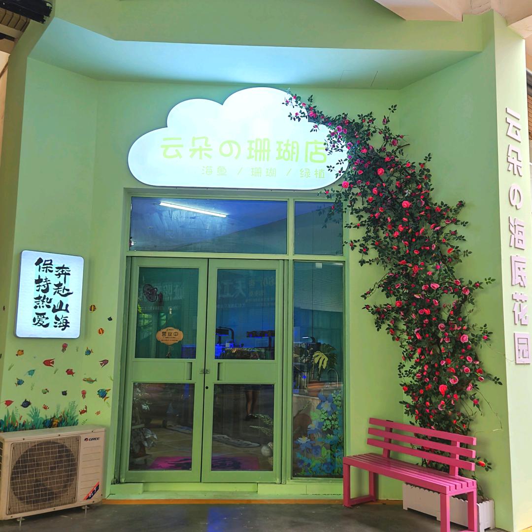 云朵的珊瑚店