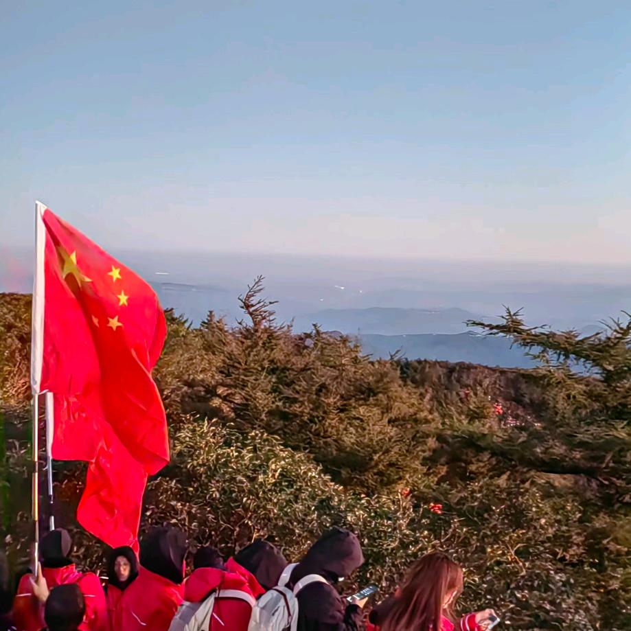 残疾人就业服务