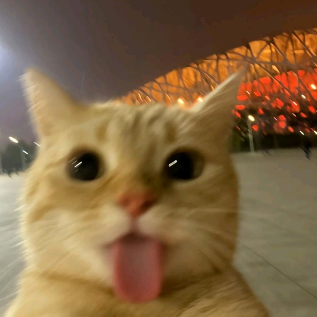 午安.