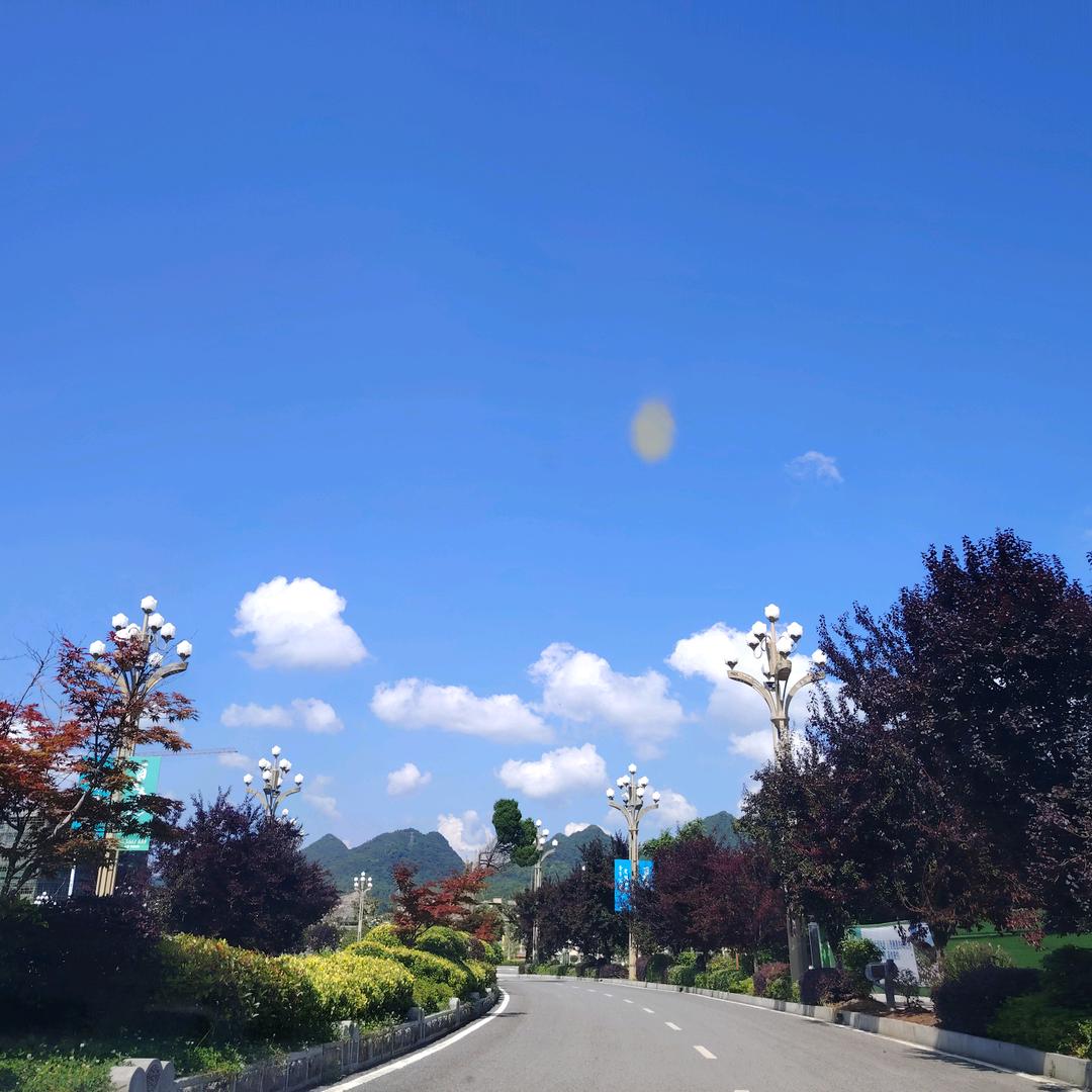 全糖去冰🔩🥇