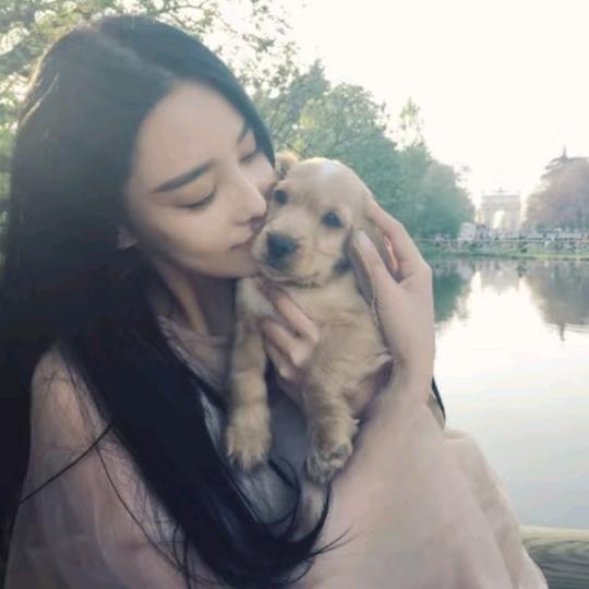 鱼鱼一鱼