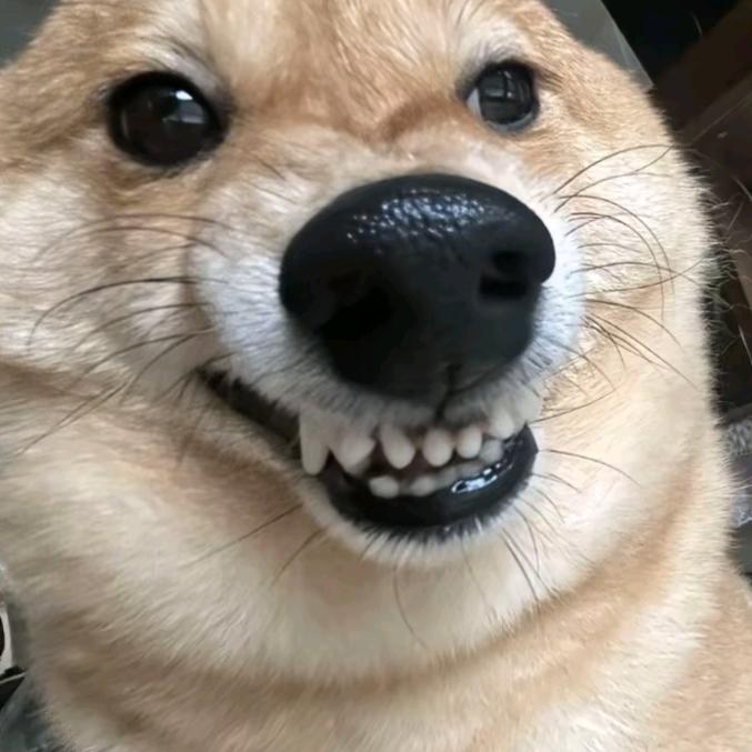 嘎嘎嘎（小号）