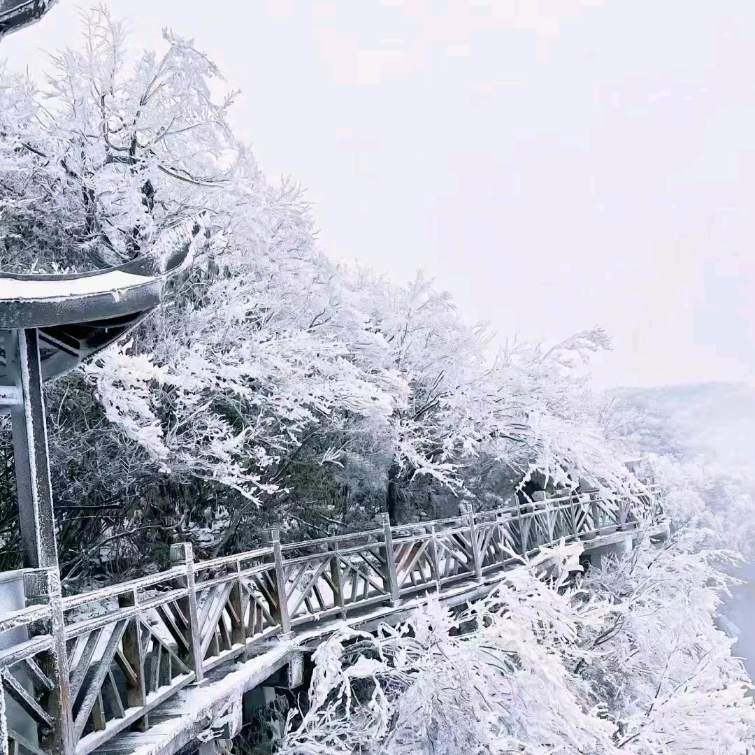 ༄࿆苦ཉྀ丁࿑ྀ࿐茶