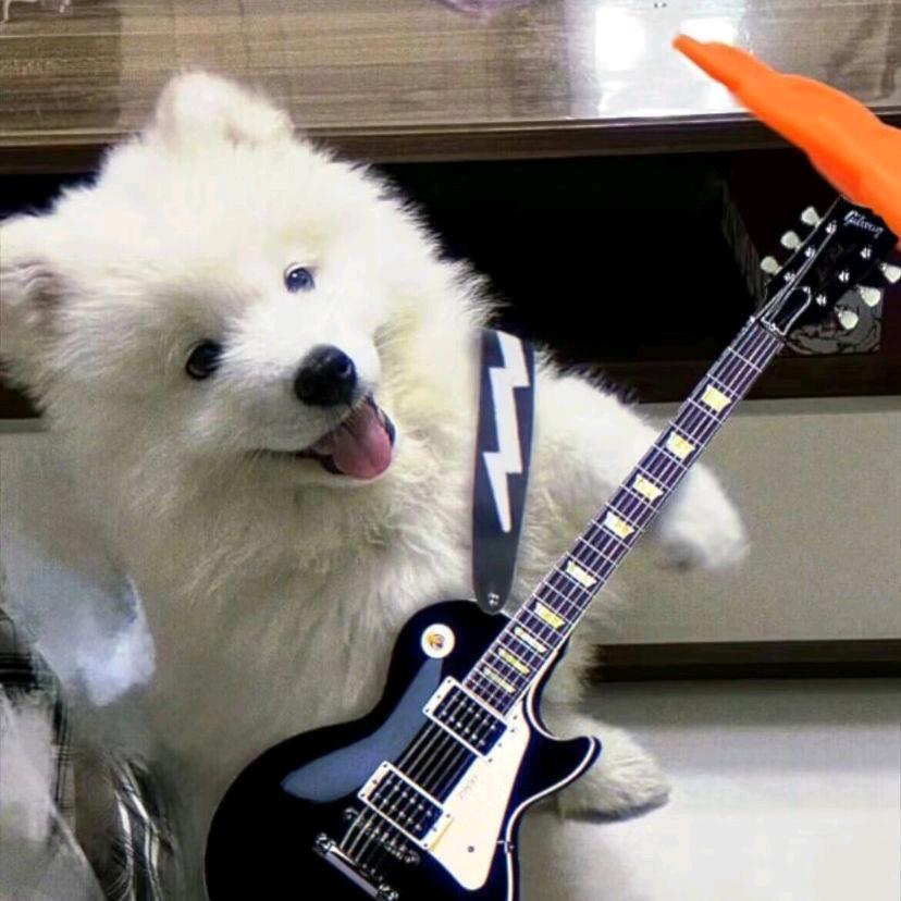 嘻嘻666